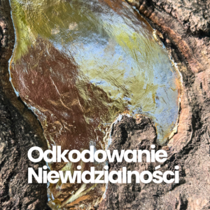 Odkodowanie Niewidzialności – zobacz, dlaczego się zatrzymujesz, zanim świat zdąży Cię zobaczyć